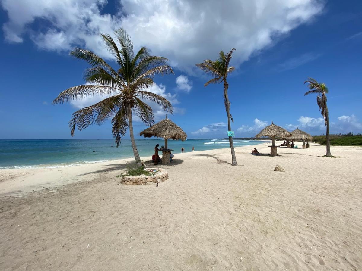 Luxury Ocean View Condo @ Aruba'S Palm Beach Exterior photo