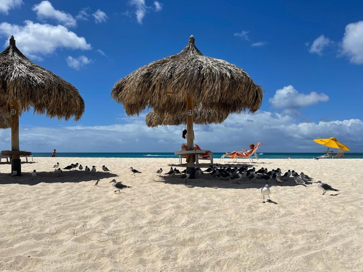 Luxury Ocean View Condo @ Aruba'S Palm Beach Exterior photo